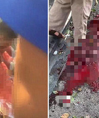 ���£�����һС�Ե�ú����ȼ ������������