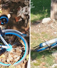 ���ܣ����˵Ĺ���������ɹ�������