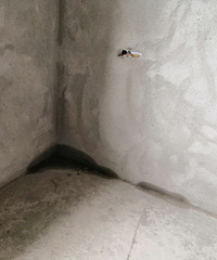 С������Ҹ�����������������С����