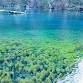 �·������ͯ������