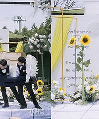 ���������ֲ�ʧ������