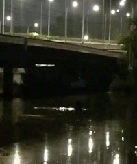 ��Ҫ���ˣ������ϵľ�Ȼ�õ粶��