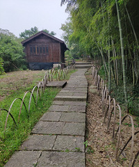 �����������ξ㱯��