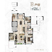 ��������ǲ��ǻ��պ�?