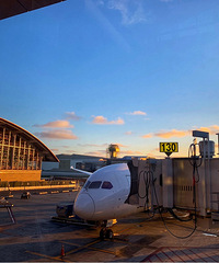 �ɻ������ɻ�һ��Ҫ���Ķ�����