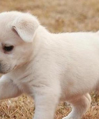 ��ô�죿��¥���ھӳ������˹� ����һ���˱�����ҧ�÷����