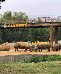 #����μ�#������֮��������