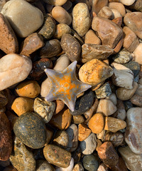 ������С�֡���1վ ����