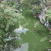 ���˵�ˮ�ʲ�����ǰ