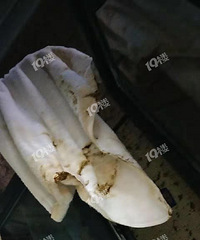 ���ģ�������ĳ¥�̱����������� ��Ȼ�д�ʺ��ԡ��������