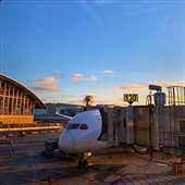 ��;������Ҫ��ʲô��