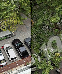 �𾪣����Ӹ��������ڵ���...