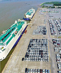 �����ƽ�н��ڳ� �������������� ��ô���飡