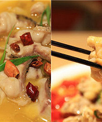 һ���ݽ�ţ�� �����˲���������