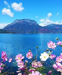 ���ǳ����˵��¸�