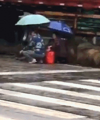 ���������飡���ӱ�ײ·�����ɡ���