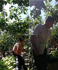 29.9Ԫ10����� ����Ǳ��˻��ˣ�