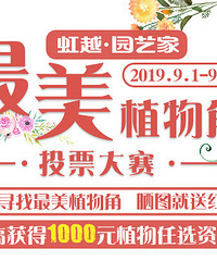 送价值百元组合盆栽!