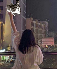 С�����175���� ϲ�������˧��С���