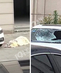 �ң�����������¥ �����һ����³���