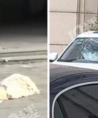 �ң�����������¥ �����һ����³���