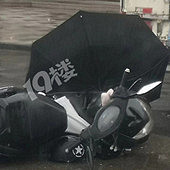 ���������߿����߳�ɡ