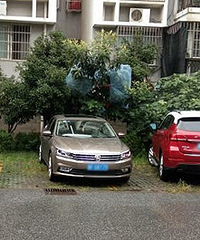 С����λ�����ͺܽ��� ����ôͣ�� ����֣�