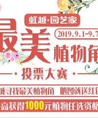 ����ֲ���ͶƱ������ʼ����������к����