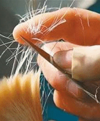 ѧ�����������˴�ιʳ���� ������