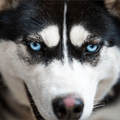 ������Ҳ��ʮ�����˵�