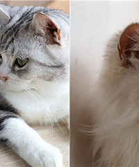 ���ּ���һߣèʥ�� ���������ȣ�