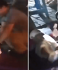 ����ĳ��˿���ſ���˫��̥����������