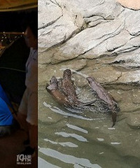 ��һ��ҹ�޶���԰���������Ķ���ƿ