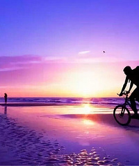 �����������������ղ�������