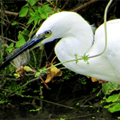 ����Ե���������