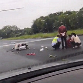 ���� �γ�ײ�ɵ綯��