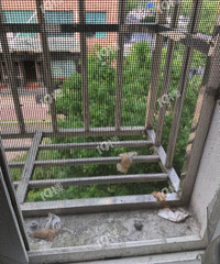 楼上老往楼下扔葡萄皮和垃圾 每天我家窗台上都有不同垃圾