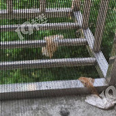 ¥�Ͼ���������������