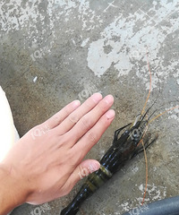 ��һ�����ڷ��޹������ ��ʱ�ر��������