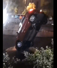 ���ӿ��������� ��β���Ů˾����