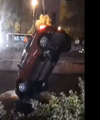 �³������˺����β���Ů˾��...