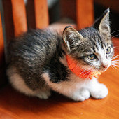 Сè����������