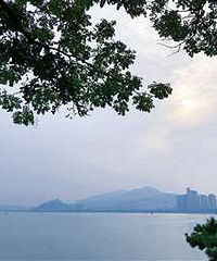 �������Ϻ÷�⣡ˮ̫�峺��