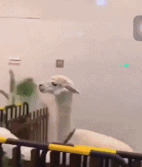 ����ĳ�̳���ֻ������ͻ����Χ����������Ⱥ