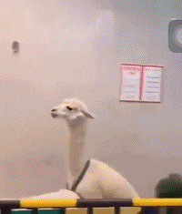 ����ĳ�̳���ֻ������ͻ����Χ����������Ⱥ