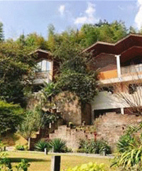 ��ջũ�Ҳ�̫���ˣ������źȺ��