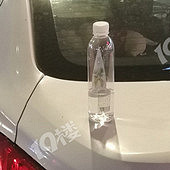 ����ʲô����