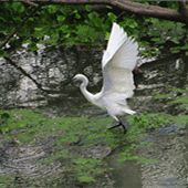 ���������������