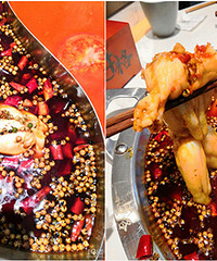 ����һֻţ�� ��������ĺù��