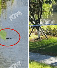 �峿ͻ���������������﷢��ʬ��һ��